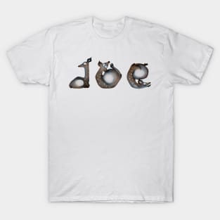Alphabet Yoga Doe T-Shirt